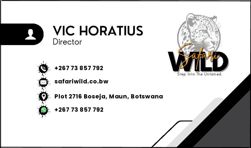 Business card 2
